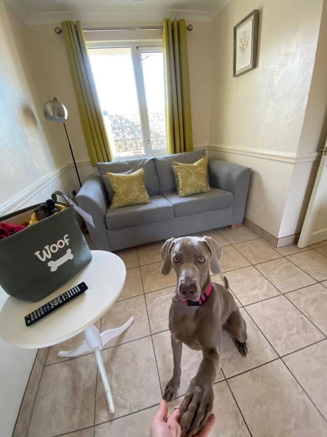 Croyde Bay Hotel Or Self Catering المظهر الخارجي الصورة